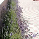 Appartement 14465b